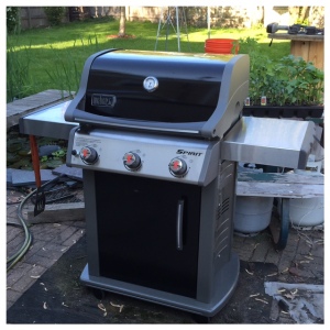 New Weber gas grill